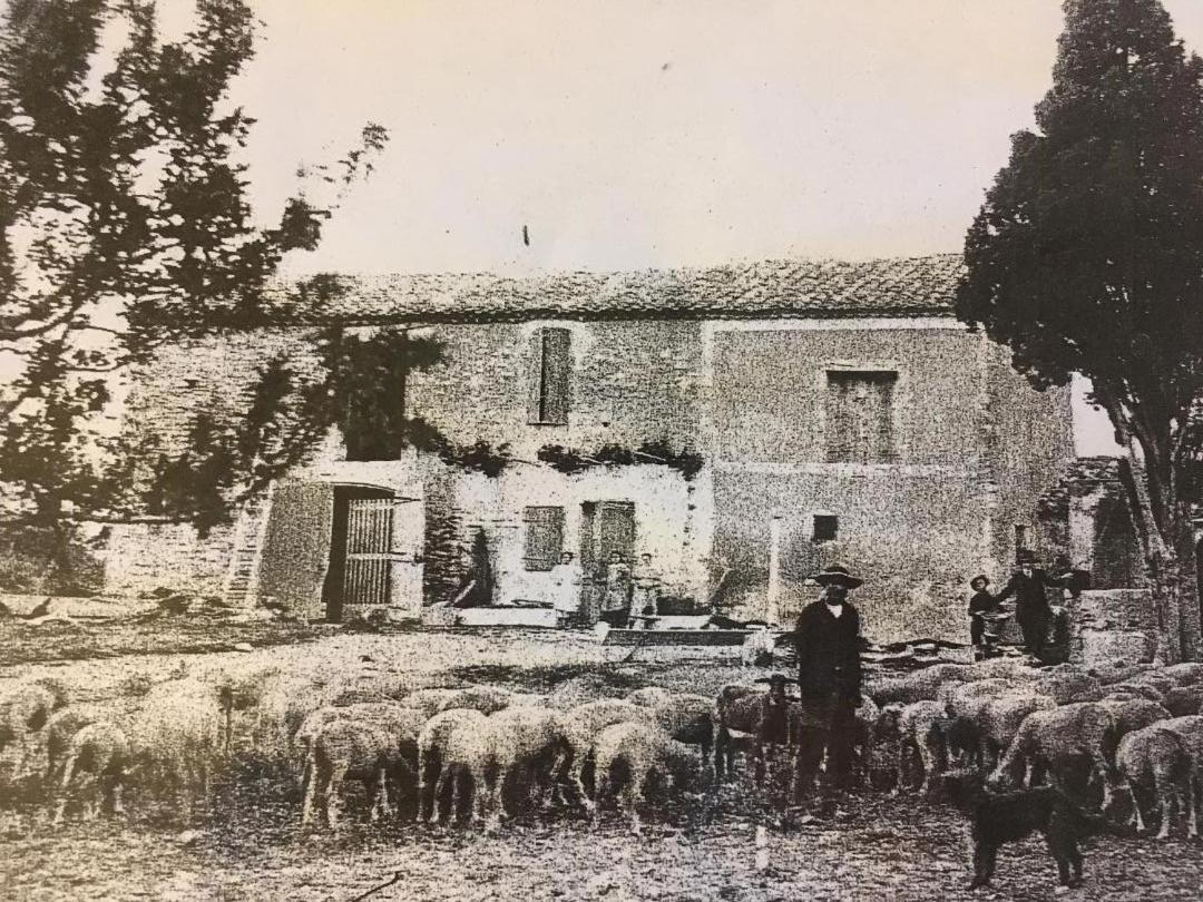 Bed and Breakfast La Bergerie de Cigalon à Mouries Extérieur photo